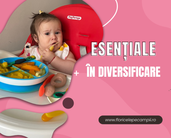 articole esentiale in diversificare (1) Accesorii esențiale pentru diversificarea bebelușului: ce să nu-ți lipsească!