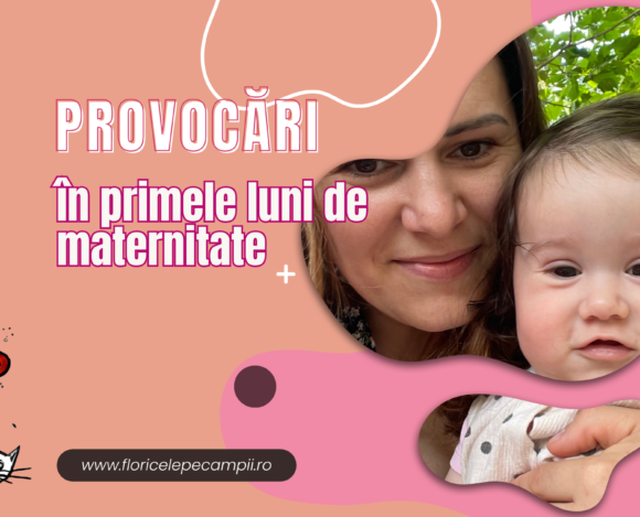 provocari in maternitate provocari din primele luni de maternitate lipsa de somn lipsa de flexibilitate bebe fara insctructiuni de folosire