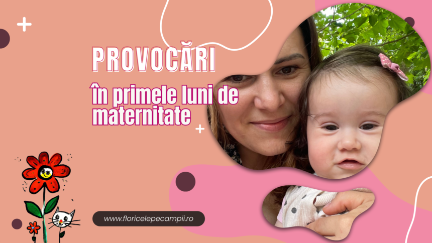 provocari din primele luni de maternitate lipsa de somn lipsa de flexibilitate bebe fara insctructiuni de folosire