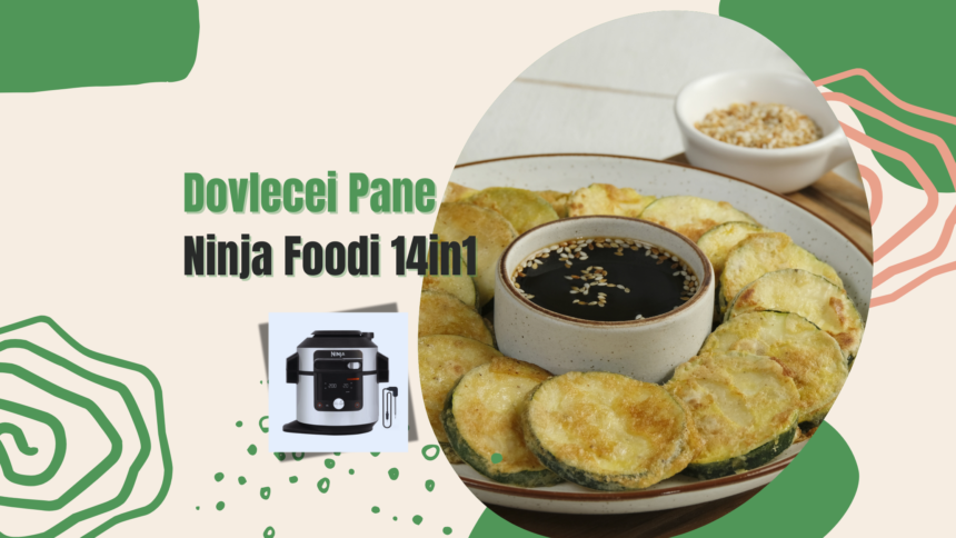 reteta dovlecei pane air fry Ninja Foodi 14in1
