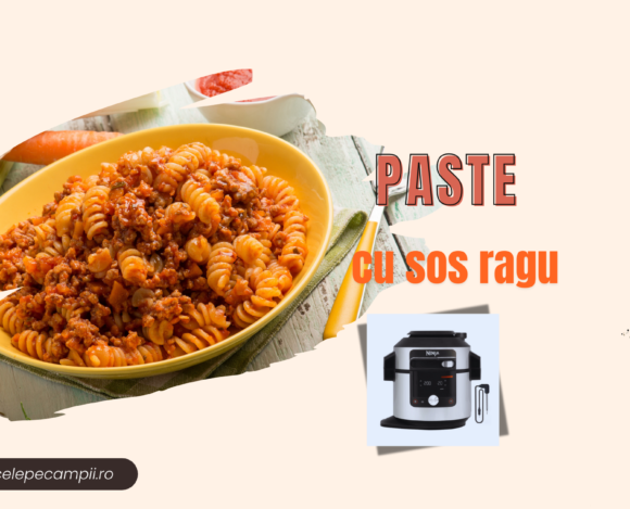 Paste cu sos ragu bolognese la Ninja foodi paste cu sos bolognese paste bolognese paste cu sos ragu la food ninja 14in1